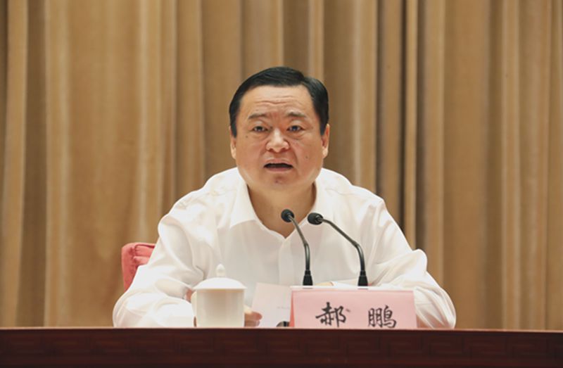 郝鵬、國資、央企、國資委、書記、主任、國企、企業改革