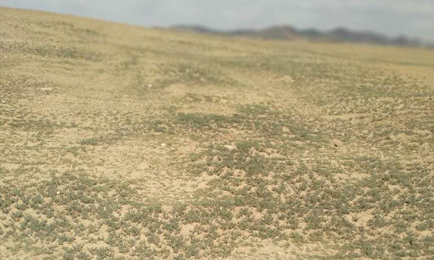 中國(guó)節(jié)能將統(tǒng)籌推進(jìn)山水林田湖草沙綜合治理、系統(tǒng)治理、源頭治理，按照“一城一策”“一域一策”的原則，從系統(tǒng)功能需求和全局角度尋求治理修復(fù)之道，助力我國(guó)生態(tài)環(huán)境高質(zhì)量發(fā)展。圖為中國(guó)地質(zhì)在新疆阿勒泰周邊開(kāi)展地質(zhì)環(huán)境生態(tài)修復(fù)治理項(xiàng)目后拍攝照片。