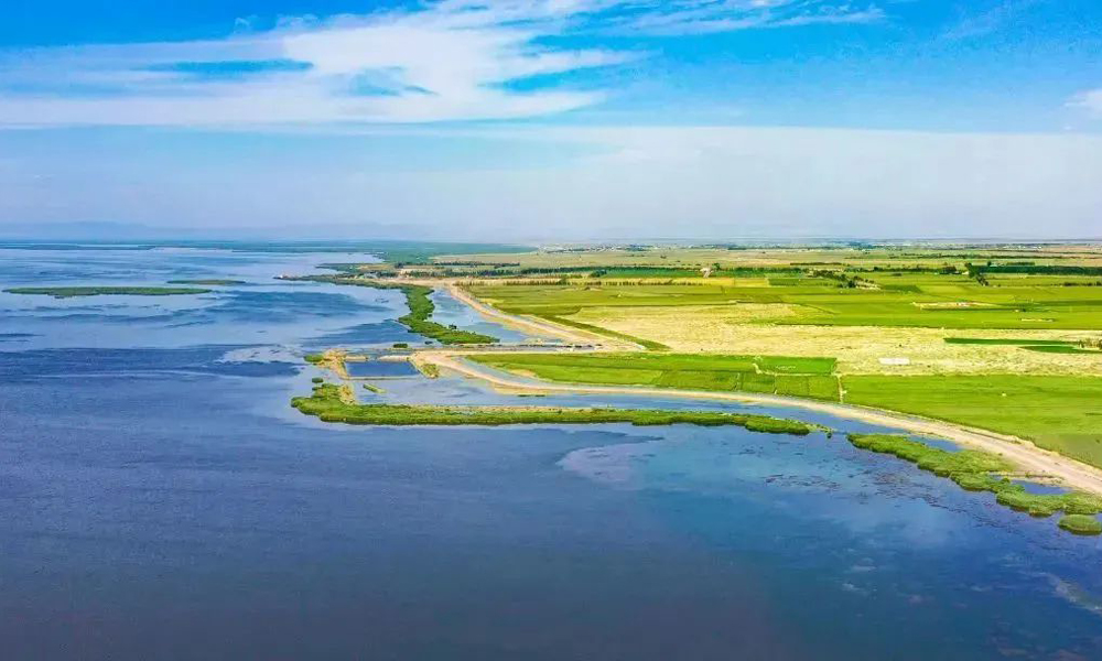 截至目前，烏梁素海流域生態修復工程已完成沙漠治理面積4.22萬畝，種植梭梭樹苗等苗木1500萬株；修復礦山面積70.635平方公里；修復林草3.3萬畝；完成海堤路修繕68.76公里。中建一局承建烏梁素海流域全長4千米的總干渠補水通道及124.57千米的海堤治理，讓河湖連通性得到有效改善，生物多樣性得到有效保護。圖為修復后的烏梁素海海堤。