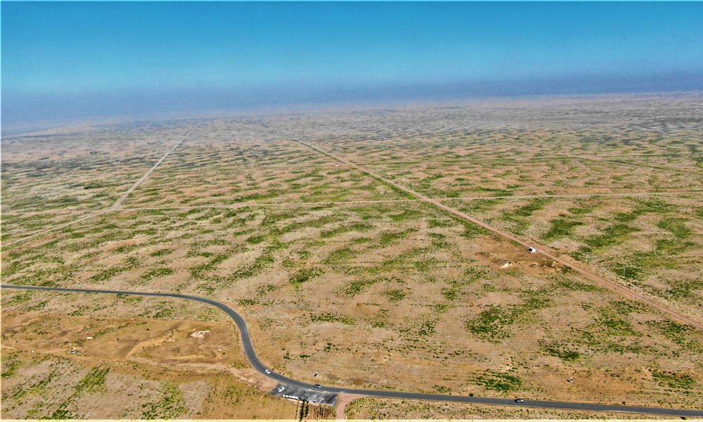 中建一局烏梁素海流域山水林田湖草沙生態修復試點工程治理成效顯著，生態環境質量改善明顯，幫助“北方防沙帶”生態系統服務功能得到進一步提升，每年減少近100萬立方黃沙流入黃河，有效提升生態系統功能，保障黃河中下游水生態安全。