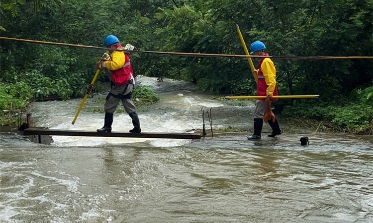 近日，國家電網浙江溫州供電公司員工對浦亭社區山洪易發區供電設備開展防風防汛特殊巡檢及清障工作。
