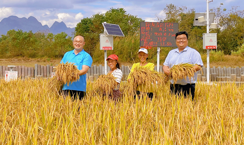 金秋豐收季，收獲正當(dāng)時(shí)。中國(guó)移動(dòng)“數(shù)智”力量助力秋收，數(shù)字化、機(jī)械化收割場(chǎng)景不斷涌現(xiàn)，一幅幅秋收美景圖正在廣袤的鄉(xiāng)村田園徐徐展開。