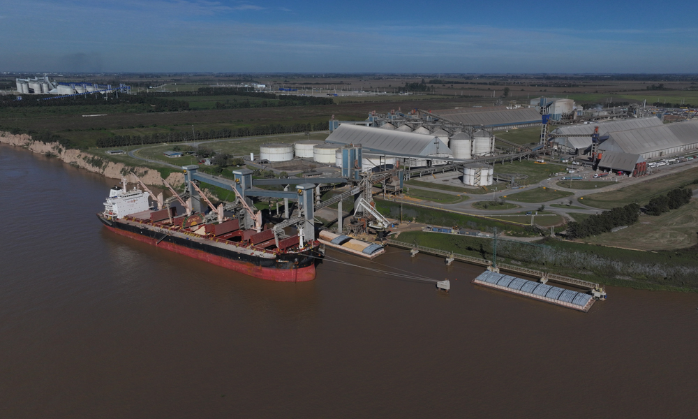 近日，中糧集團旗下中糧國際首個裝載“零毀林”阿根廷大豆產品的貨船從提布斯港啟航駛往歐盟市場。據悉，歐盟于2023年6月出臺《歐盟零毀林法案》，要求銷售至歐盟市場的大宗農產品不得產自于毀林開荒的土地，以減緩全球變暖并保護生物多樣性。該法案將于2024年12月30日生效。