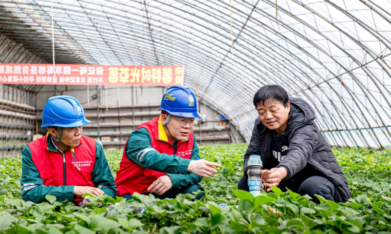 國家電網(wǎng)蒙東通遼供電公司工作人員在草莓種植大棚檢查電力設(shè)施情況。