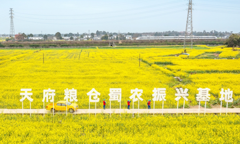 國家電網(wǎng)四川電力（成都崇州）連心橋黨員服務(wù)隊隊員在天府糧倉開展線路特巡。