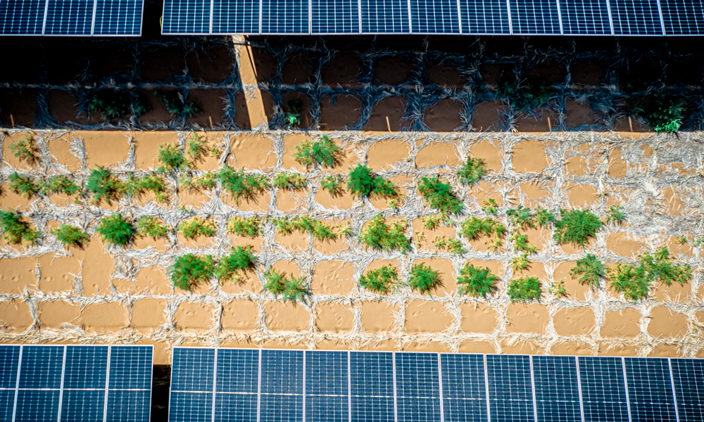 “草方格+播撒草籽”的方式，為“沙戈荒”固沙治沙和植被生長貢獻(xiàn)成功的“國家能源經(jīng)驗”。
