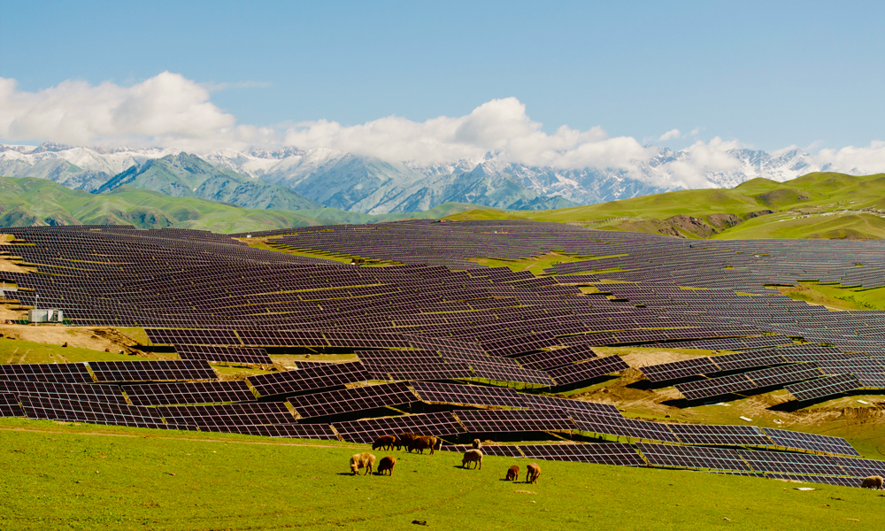 該項(xiàng)目建立了“牧光互補(bǔ)”發(fā)展模式。“牧光互補(bǔ)”模式推進(jìn)了光伏新能源產(chǎn)業(yè)綠色低碳發(fā)展，加快了生態(tài)畜牧業(yè)轉(zhuǎn)型升級(jí)，向草原生態(tài)良性循環(huán)和現(xiàn)代化、綠色、可持續(xù)發(fā)展轉(zhuǎn)變，實(shí)現(xiàn)了高效養(yǎng)殖與光伏生態(tài)修復(fù)“雙贏”目標(biāo)。