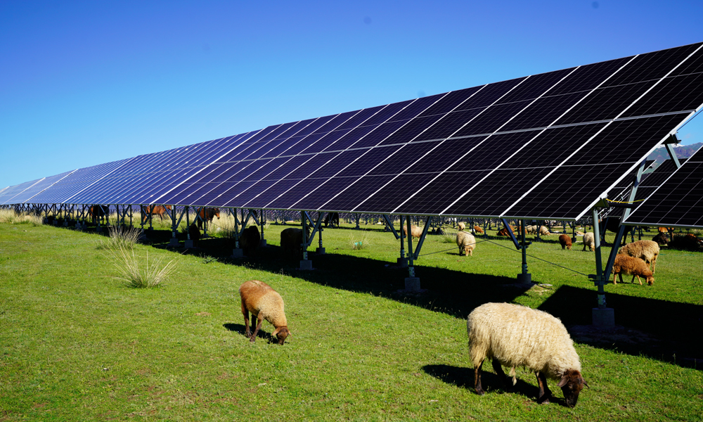 中國綠發(fā)新疆中綠電尼勒克400萬千瓦風(fēng)電光伏項(xiàng)目。