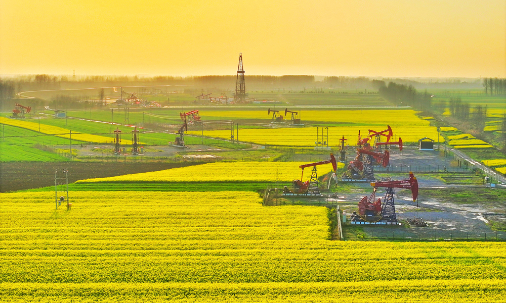 近日，江漢油田潭口油區(qū)開(kāi)發(fā)現(xiàn)場(chǎng)附近的油菜花盛開(kāi)，紅色的抽油機(jī)點(diǎn)綴其間、上產(chǎn)正忙，一派生機(jī)勃勃的景象。 