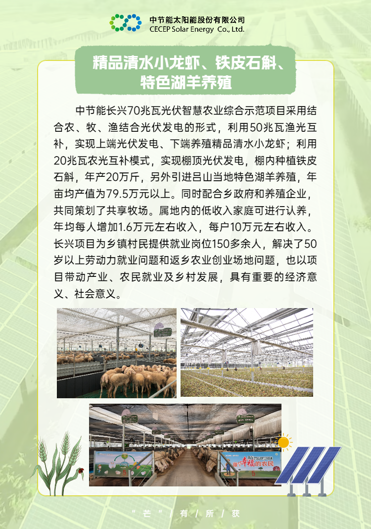 中國節能助力鄉村振興 (7).png