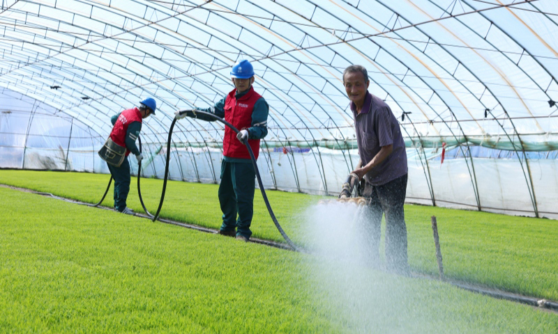 國家電網(wǎng)吉林松原供電公司工作人員在水稻育苗大棚檢查灌溉用電設備。