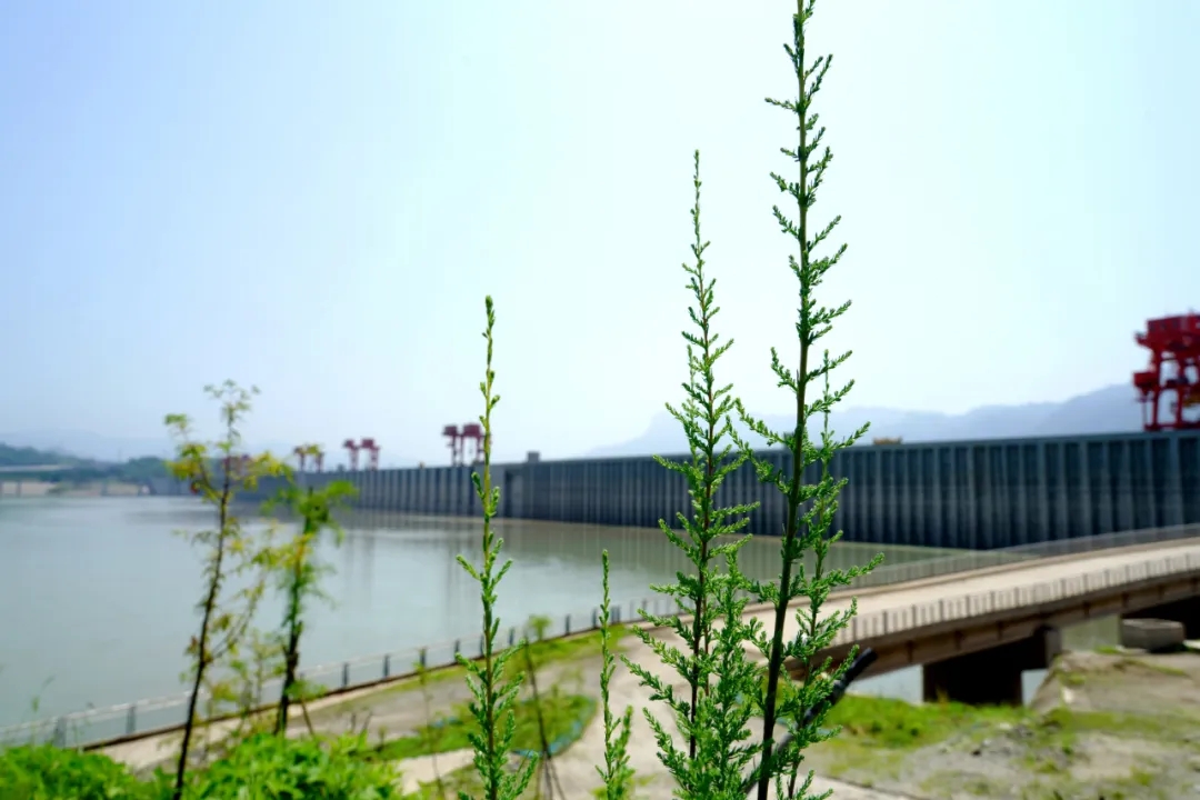 庫區2.jpg 庫區2.jpg