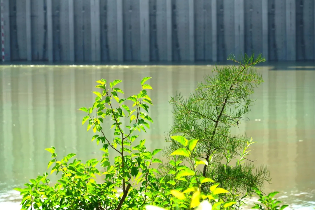 庫區4.jpg 庫區4.jpg