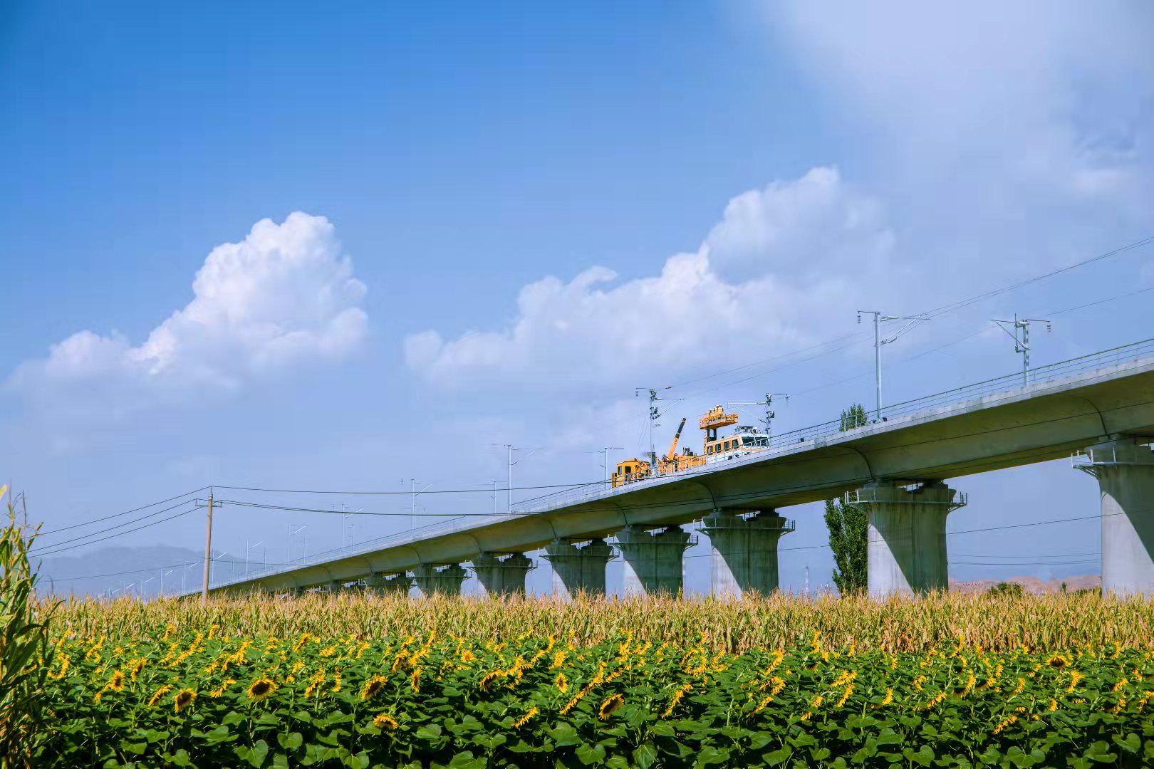 中鐵電氣化局集團有限公司承擔建設的中蘭客專靖遠黃河特大橋工點 (4).jpg