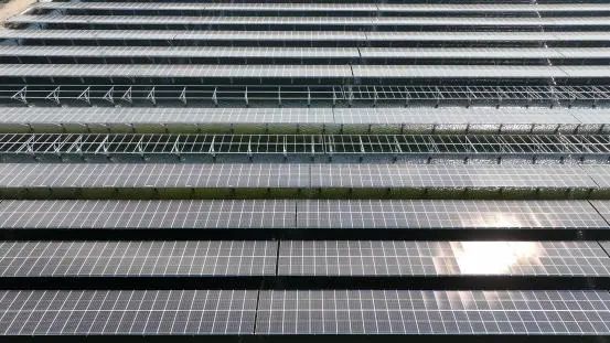 崇明漁光互補光伏項目.jpg 崇明漁光互補光伏項目.jpg