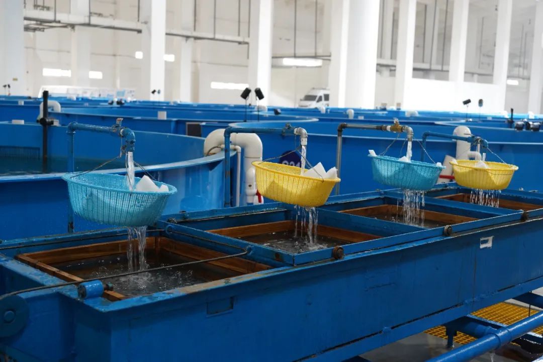 圖片2.png 圖片2.png