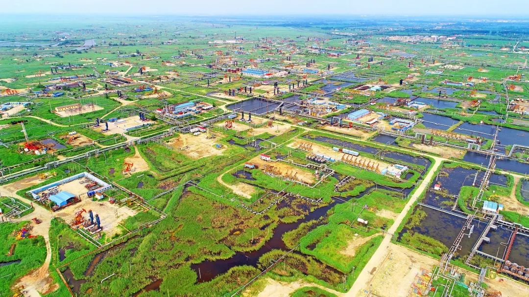 位于繞陽河畔的遼河油田杜84塊稠油生產(chǎn)現(xiàn)場。 陳允長 攝.jpg