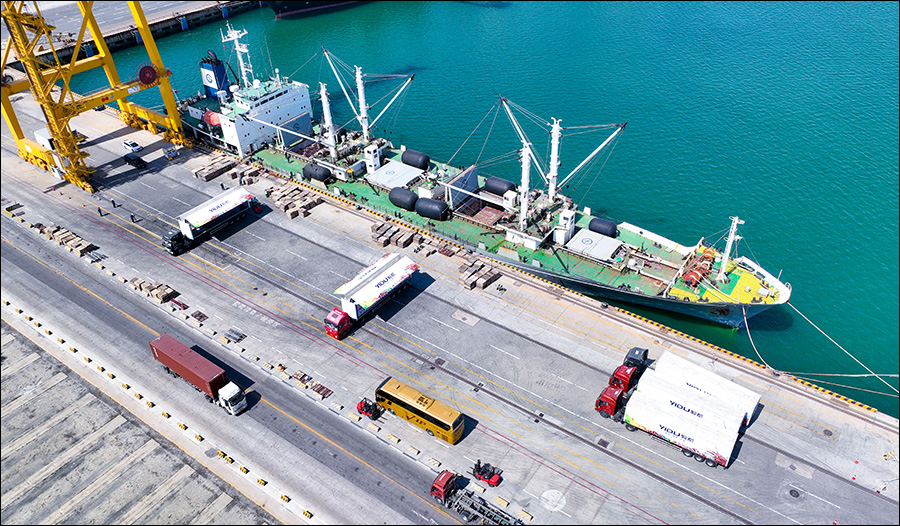 同比增長超兩成，上半年遼港集團(tuán)集裝箱生產(chǎn)“成績單”亮眼5 (2)-ok.jpg