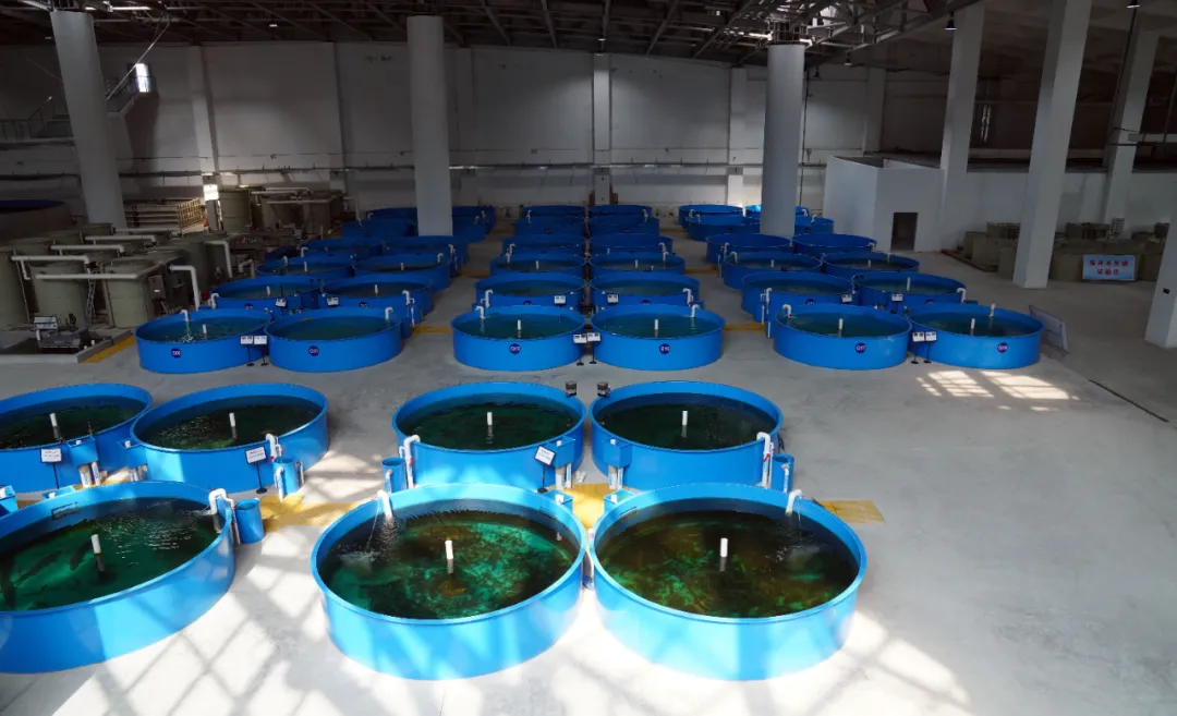 圖片2.png 圖片2.png