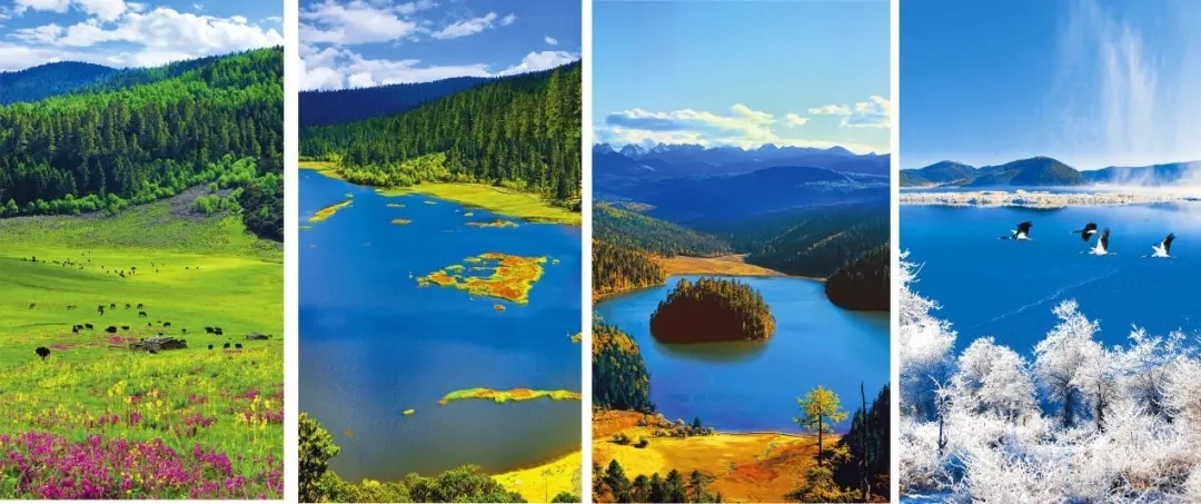 62ca6142098a4253ad2bfbd0727de2b2.jpg 62ca6142098a4253ad2bfbd0727de2b2.jpg