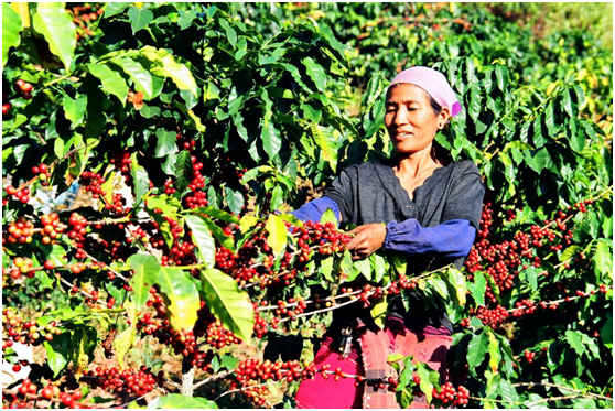 5db6af9.png 5db6af9.png