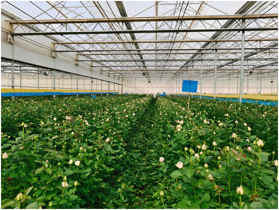 4faa0701e7764c58b481ea3cf4304a58.png 4faa0701e7764c58b481ea3cf4304a58.png