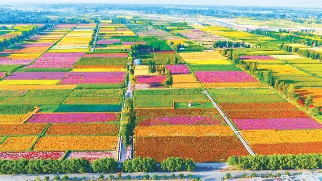 微信圖片_20231031095219.jpg 微信圖片_20231031095219.jpg