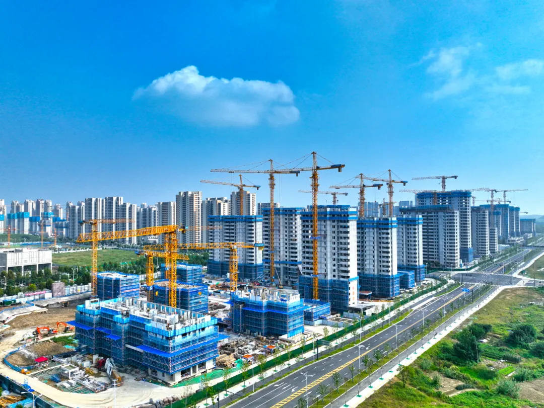 圖片5.png 圖片5.png